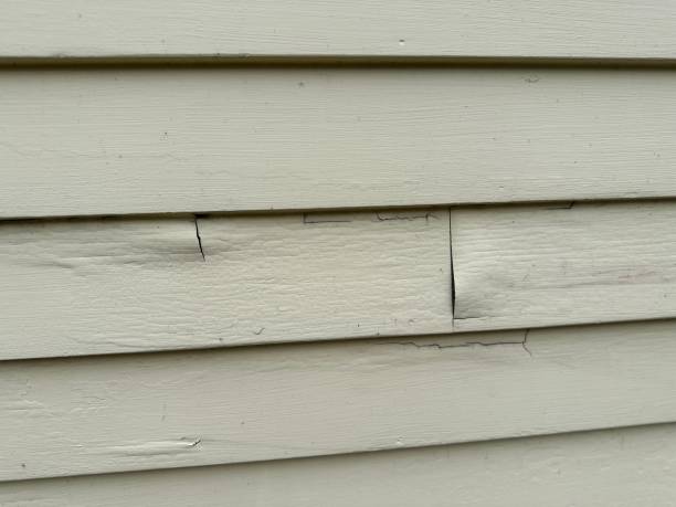 Shed Removal in Terre Hill, PA